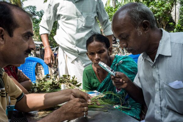 Plantwise plant clinic, India