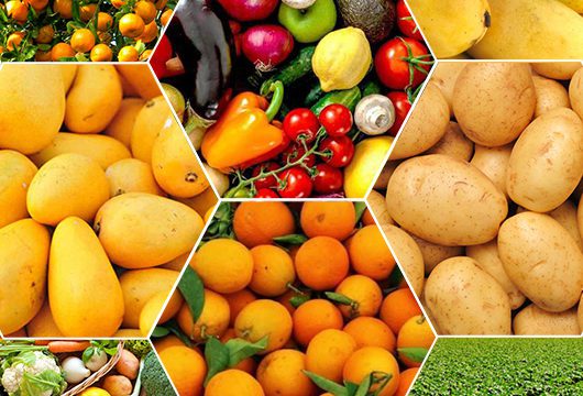 Establishing model farms