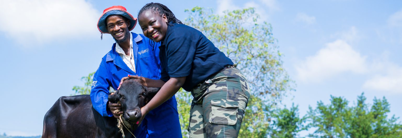 African farmers with a cow 1538x531