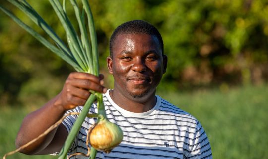Young farmer holding up an onion