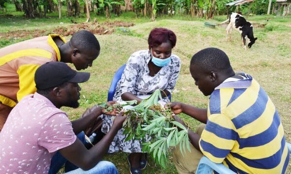 One Health in Uganda