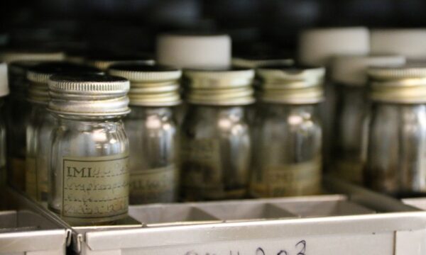 2019 Review Conference delegate Science Tour of CABI's Egham Office