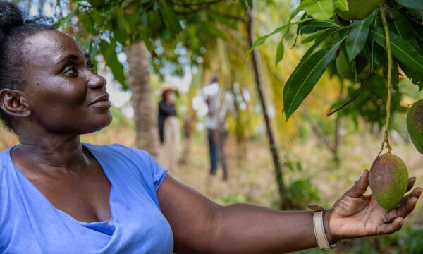 Noreen Francine is a farmer in Grenada benefitting from assistance from CABI.