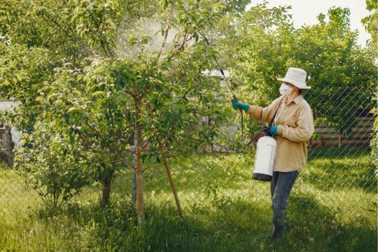 a farmer spraying a tree with plant protection product