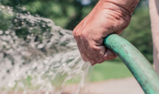 water flowing from a hose