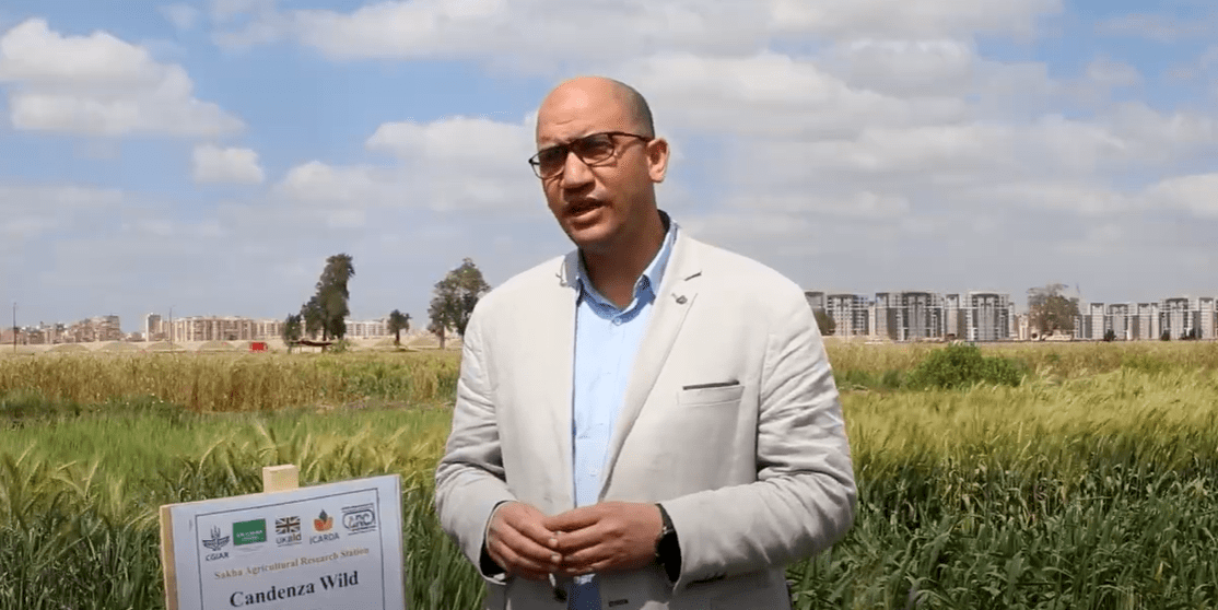 Screenshot 2025-07-23 073737